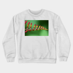 Lily Crewneck Sweatshirt